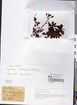 LE 01059810