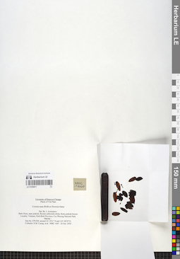 LE 01059811