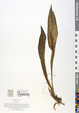 LE 01059820