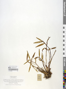 LE 01059862
