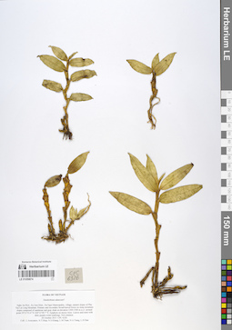 LE 01059874