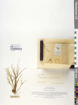 LE 01059880