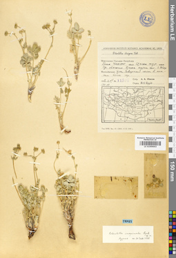 LE 01009663
