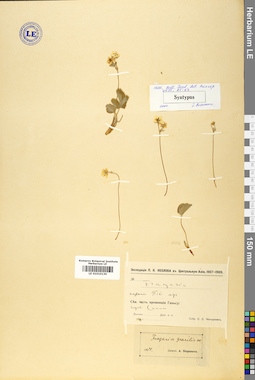 LE 01010130
