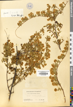 LE 01010298