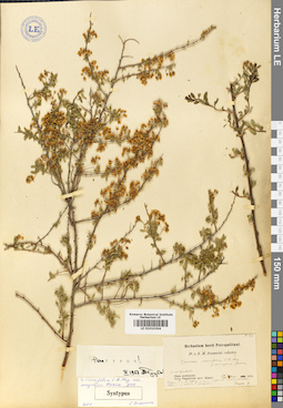 LE 01010304