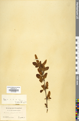 LE 01014251