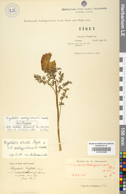 LE 01014402