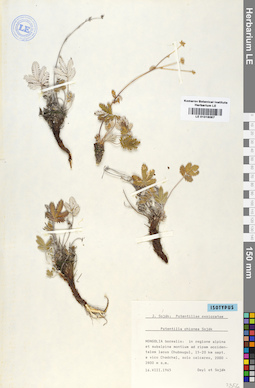 LE 01016067