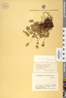 LE 01016197