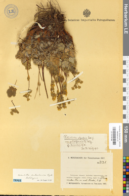LE 01016198