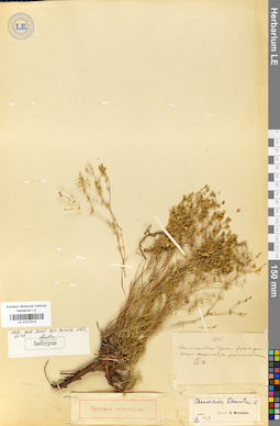 LE 01017014