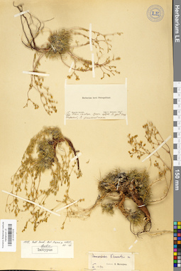 LE 01017015