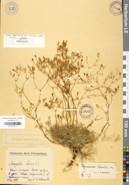 LE 01017017