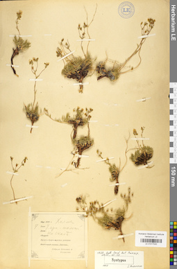 LE 01017020