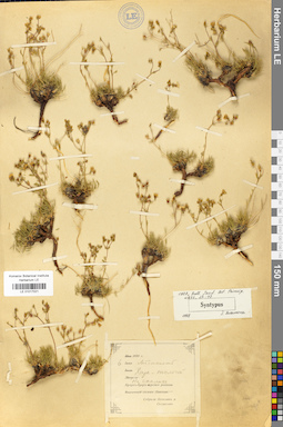 LE 01017021