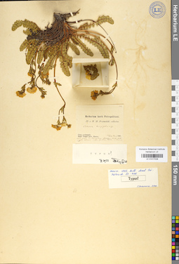 LE 01017028