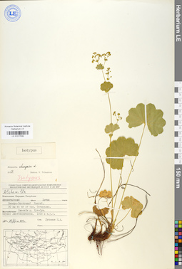 LE 01017039