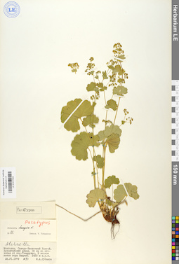 LE 01017043