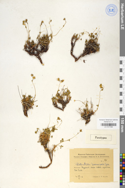 LE 01017095