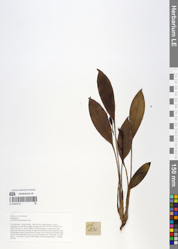 LE 01054133