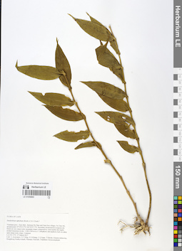 LE 01059893