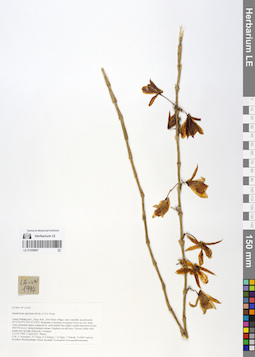 LE 01059897