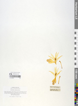 LE 01059997