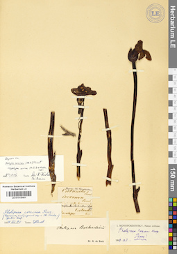 LE 01015401