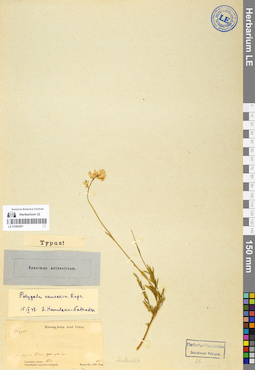 LE 01064361