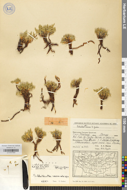 LE 01017003