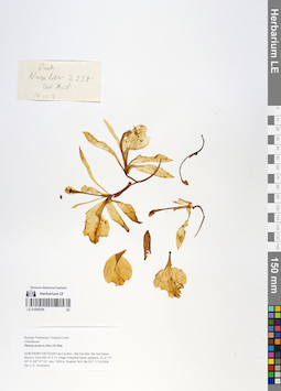 LE 01058794