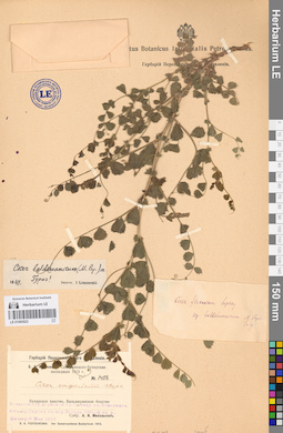 LE 01065523