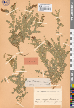 LE 01065525