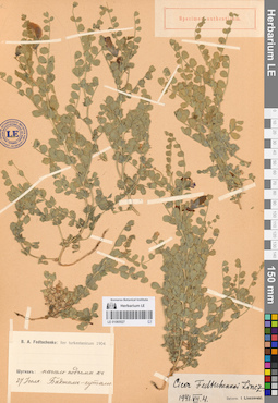 LE 01065527