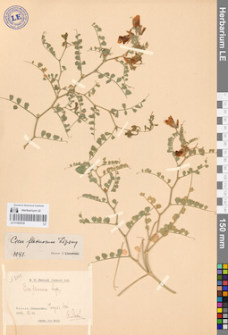 LE 01065538