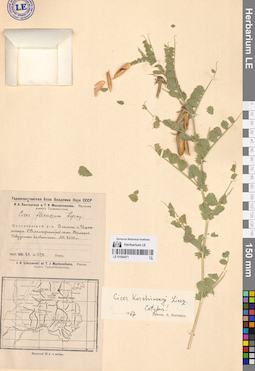 LE 01064471