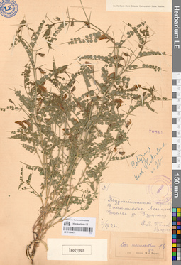 LE 01064476
