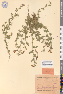LE 01064481