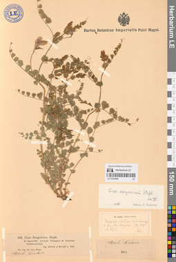 LE 01064484