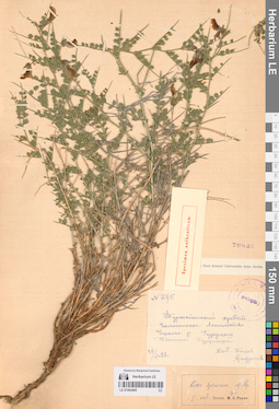LE 01064485