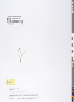 LE 01066584