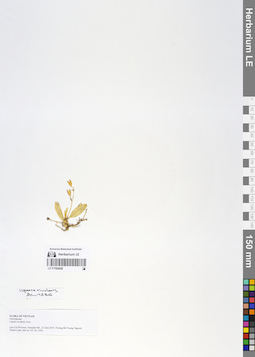 LE 01066668