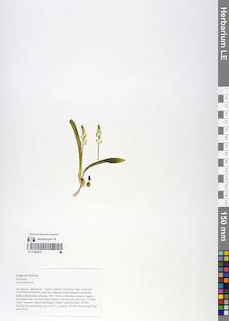 LE 01066672