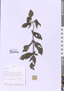 LE 01317571