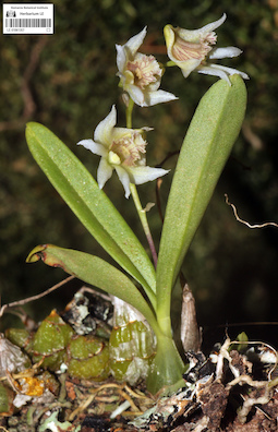 LE 01061357