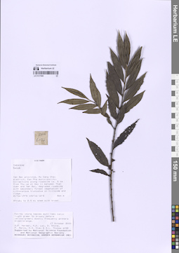 LE 01317666