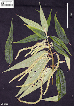 LE 01061254