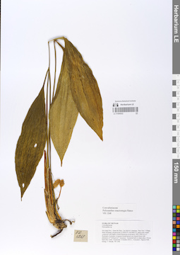 LE 01066922