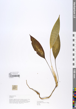 LE 01067122
